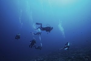 Dives And Course Tour Packages